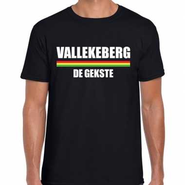 Carnaval vallekeberg de gekste t-shirt zwart voor heren